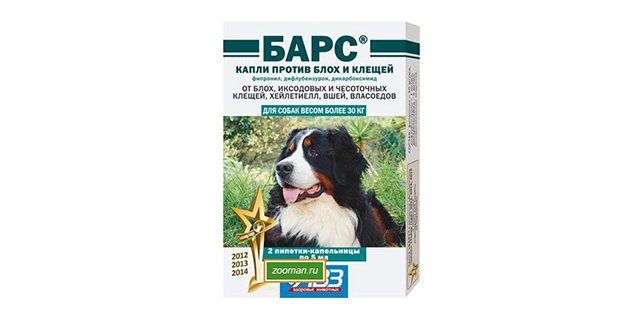 Кращі краплі від кліщів і бліх для собак – які краплі на холку вибрати?