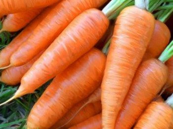 Страви з моркви для дітей   найкращі рецепти