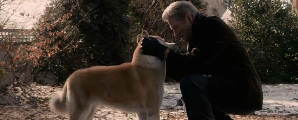 Фільми про собак: список кращих дивитися, Біле ікло, Хатіко, Бетховен