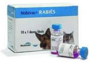 Нобівак для собак: інструкція, вакцина, ціна, відгуки господарів різних порід
