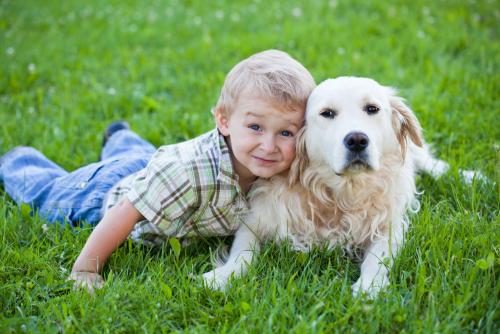 Собака і діти: основні правила поведінки