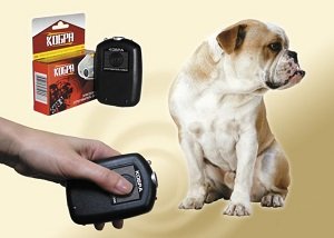 Ультразвуковий відлякувач собак: відгуки, форум і відео, Грім і Оса