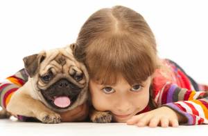 Собачі клички: прикольні із собачого щастя і їх значення для псів