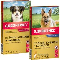 Адвантікс для собак інструкція: краплі, ціна, відгуки господарів, дозування