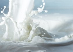 Чим корисна молочна сироватка для волосся?