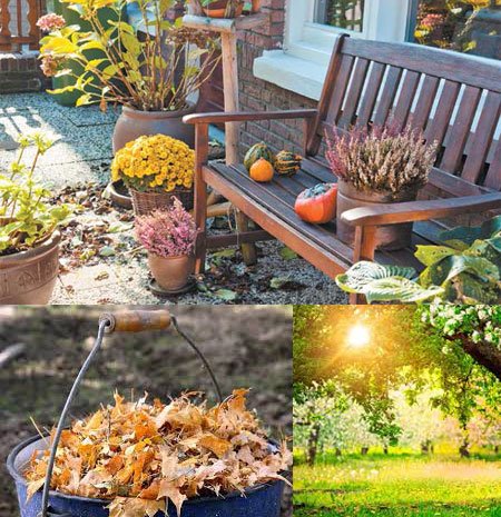 Як доглядати за садом протягом року?