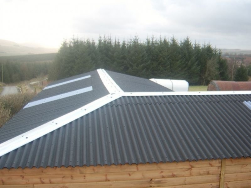 Чим краще покрити дах власного будинку