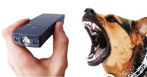 Ультразвуковий відлякувач собак: відгуки, форум і відео, Грім і Оса