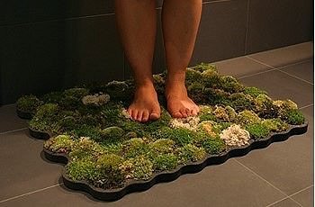 Красиві килимки для ванної кімнати