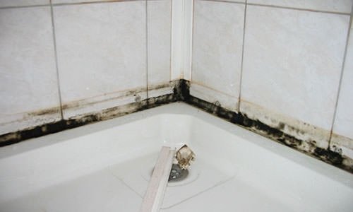 Як швидко і надійно видалити грибок у ванній