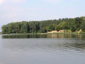Товстолобик   лов, приманки, період клювання, місця проживання