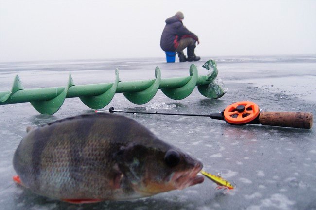 Зимова рибалка на балансир, як ловити, який вибрати