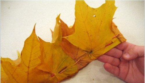 Вироби з осіннього листя своїми руками