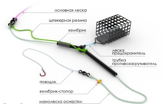 Ловля плотви на фідер навесні, влітку та восени, на течії і в стоячій воді
