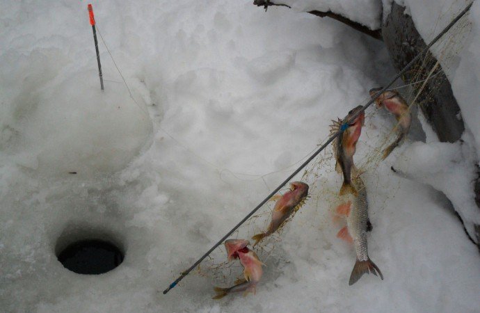 Косинка для зимової риболовлі, ловля риби косинкою