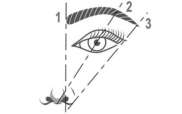 Брови: як вибирається і коригується форма в домашніх умовах