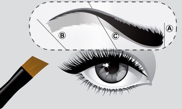 Брови: як правильно надати форму і що для цього потрібно