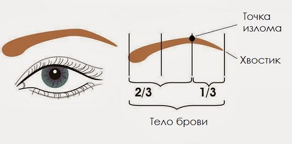 Як вибрати форму брів і змінити її в домашніх умовах