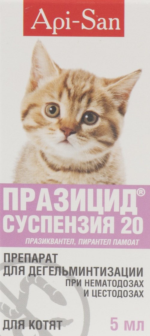 Празіцід для кішок: відгуки, інструкція із застосування, протипоказання – Муркотэ про кішок і котів