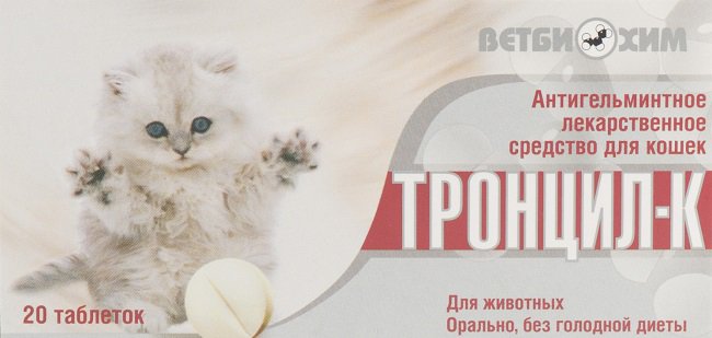 Тронцил для кішок: відгуки, інструкція із застосування, протипоказання – Муркотэ про кішок і котів