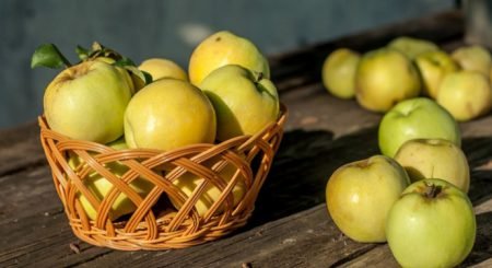 Яблука Антонівка: опис сорту, фото