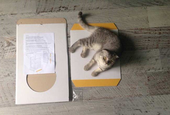 Будиночок для кішки MilkBox (Котофабрика): відгуки, фото, відео, збірка – Муркотэ про кішок і котів