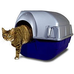 Який котячий туалет краще: 5 лотків, які ви захочете купити – Муркотэ про кішок і котів