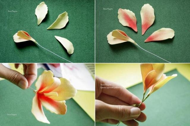 Квіти канна з фоамирана своїми руками, фото урок