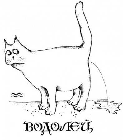 Котячий гороскоп | Гороскоп кішок і котів – Муркотэ про кішок і котів