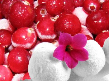 Смачні рецепти журавлини в цукрі