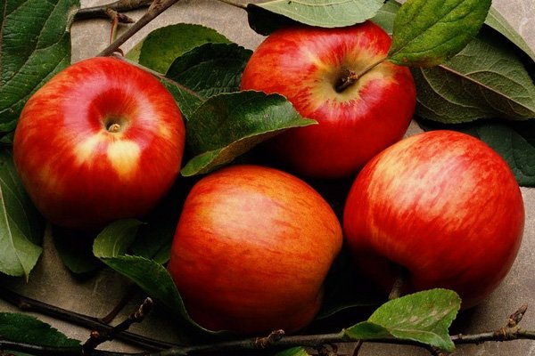 Рецепт запечених яблук в духовці