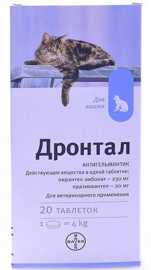 Дронтал для кішок: відгуки, інструкція із застосування, протипоказання – Муркотэ про кішок і котів