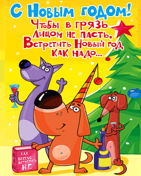 Новые тосты прикольные 2018 Новые тосты прикольные 2018