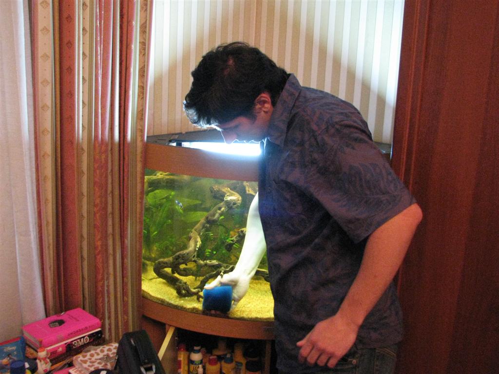 Догляд за акваріумом