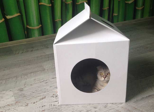 Будиночок для кішки MilkBox (Котофабрика): відгуки, фото, відео, збірка – Муркотэ про кішок і котів