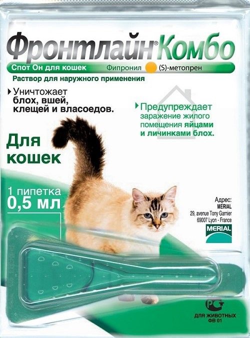 Фронтлайн для кішок: відгуки, інструкція із застосування, протипоказання – Муркотэ про кішок і котів