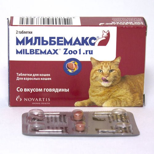 Мильбемакс для кішок: відгуки, інструкція із застосування, протипоказання – Муркотэ про кішок і котів