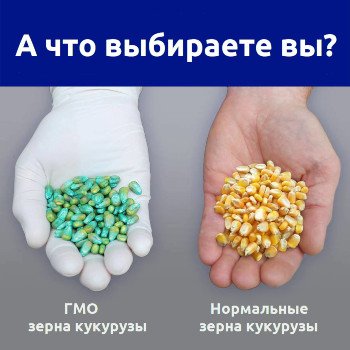 Три брехні біотехнологічних компаній просувають ГМО