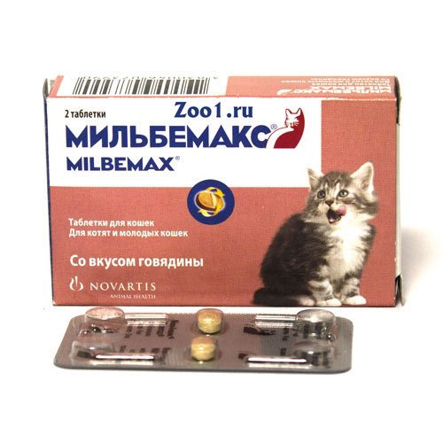 Мильбемакс для кішок: відгуки, інструкція із застосування, протипоказання – Муркотэ про кішок і котів