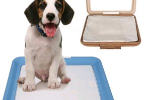 Багаторазові пелюшки для собак: відгуки, вбираючі, склад, властивості