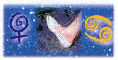 Ретроградна Венера в знаках зодіаку