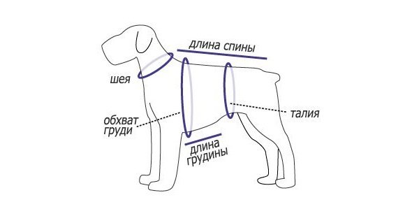 Викрійка комбінезона для собаки: в натуральну величину, своїми руками