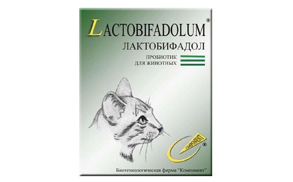 Лактобифадол для кішок: відгуки, інструкція із застосування, протипоказання – Муркотэ про кішок і котів