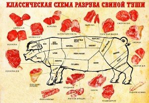 Підготовка тваринного і забій свиней в домашніх умовах