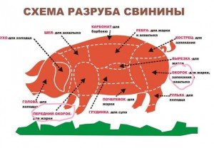 Як зарізати свиню: методи умертвіння і оброблення