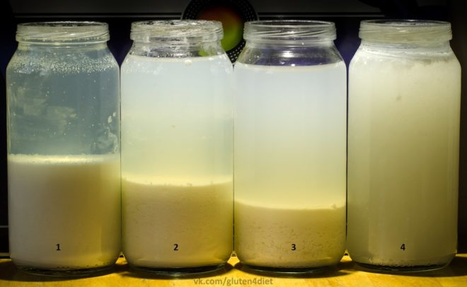 Сухе молоко для поросят: як розводити і годувати, пропорції і дозування