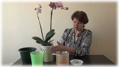 Пересадка орхідеї в домашніх умовах: як, що і чому?
