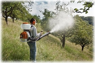 Весняне обприскування плодових дерев від шкідників і хвороб
