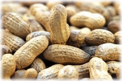 Вирощування арахісу в домашніх умовах