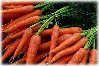 Кращі сорти насіння моркви для відкритого ґрунту